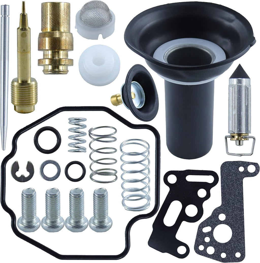 2 Pack Carburetor Repair Kit Plunger Diaphragm T8994