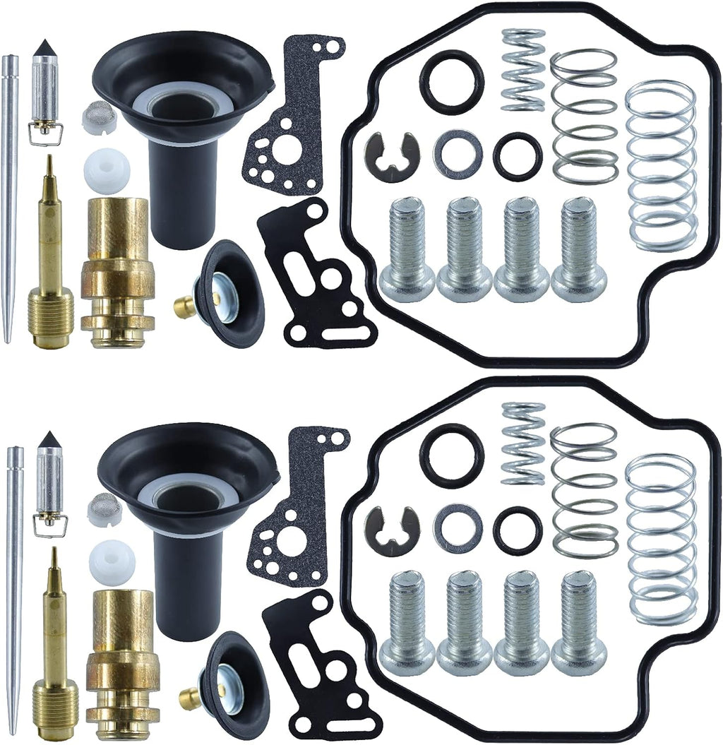2 Pack Carburetor Repair Kit Plunger Diaphragm T8994