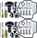 2 Pack Carburetor Repair Kit Plunger Diaphragm T8994