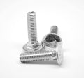 Coarse Thread Carriage Bolt Stainless Steel 18-8 Pk 15 B691