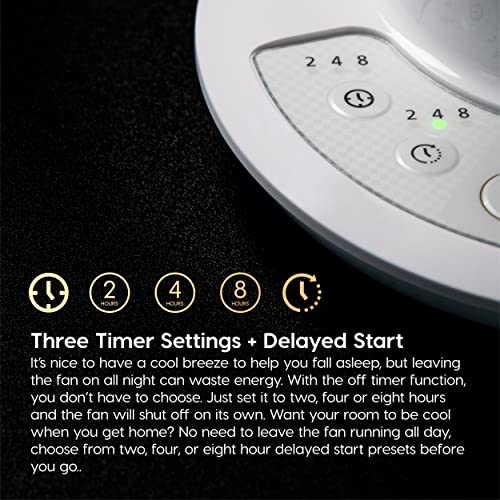 Large Oscillating 8-in-1 Fan with Remote and Timer Y767