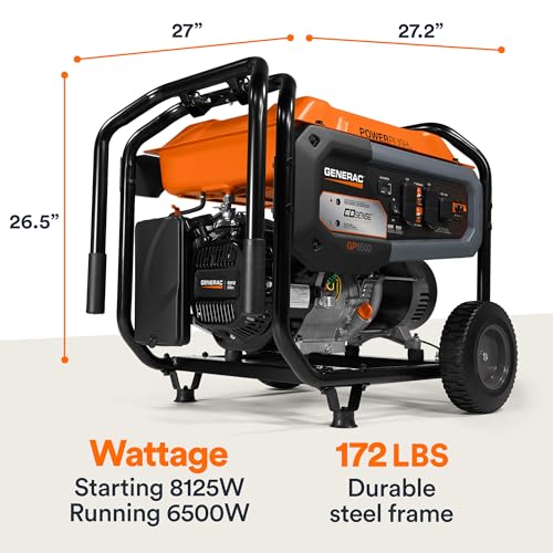 8,000-Watt Gas-Powered Portable Generator with Electric Start D65935