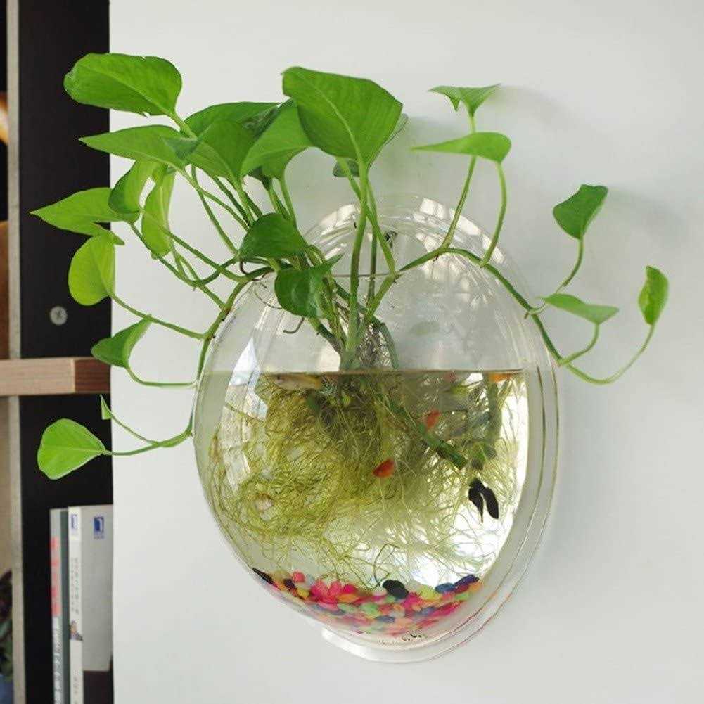 Wall Mounted Acrylic Fish Bowl P414692