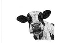 Cow Canvas Art 32x24 E598