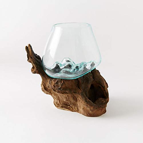 Hand Blown Molten Glass & Teak Wood Terrarium (6" - 7" High) X429
