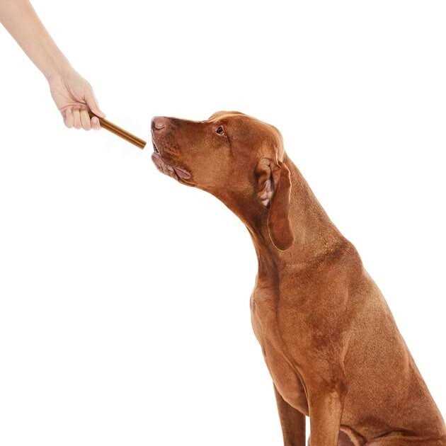 All-Natural Dental Chew Sticks P10689