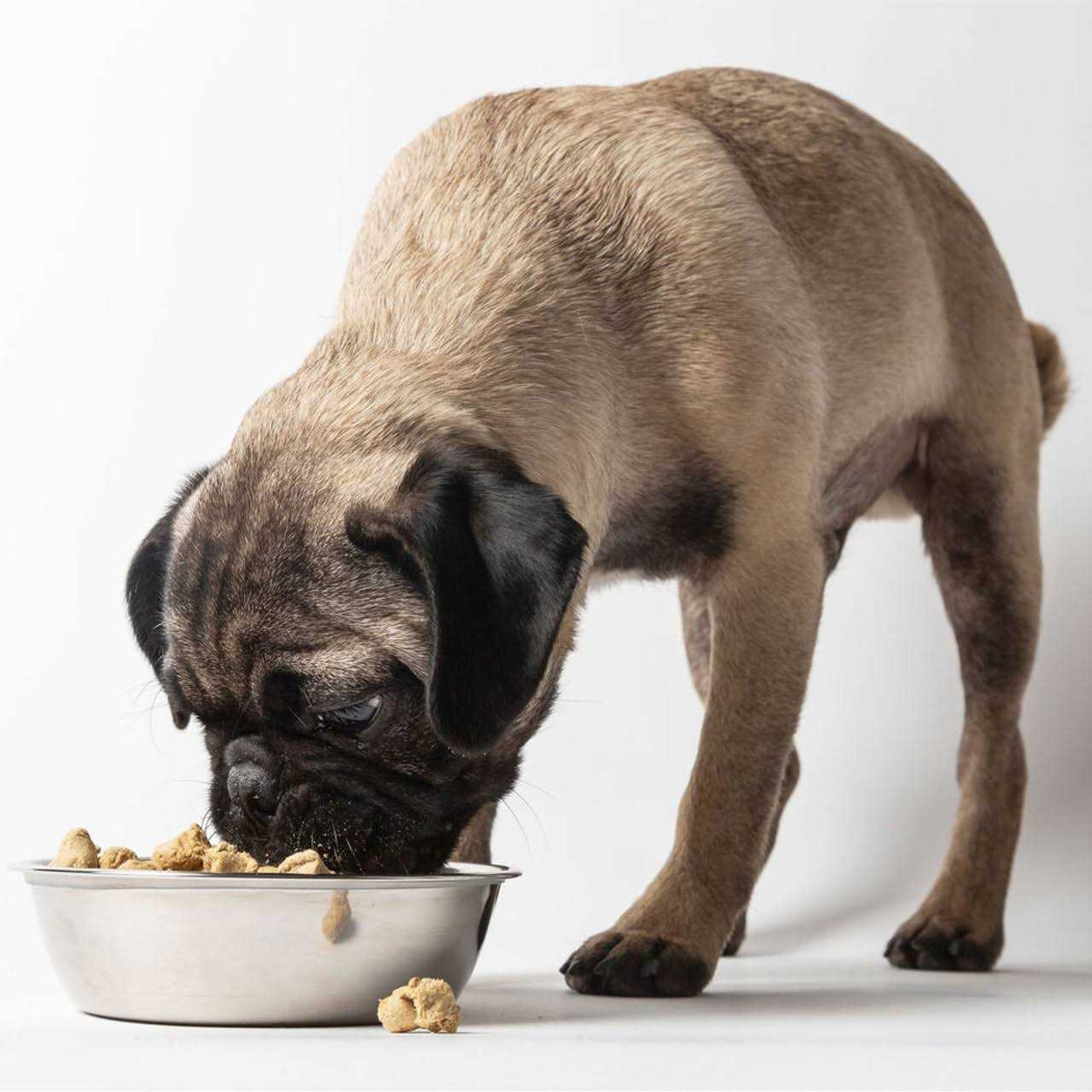 Freeze Dried Dog Food U32740