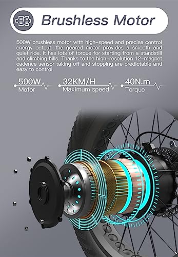 26" x 2.1 Fat Tire Electric Bicycle with 500w Motor 48V 10.4Ah Removable Lithium Battery F919