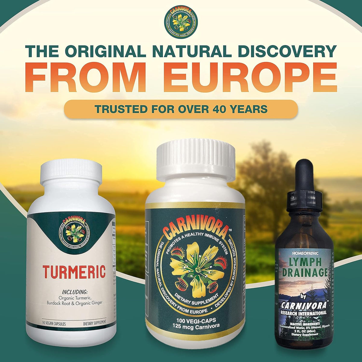 Triple Play Bundle with 1 Bottle Vegi-Caps, 1 Bottle Lymph Drainage, and 1 Bottle Turmeric T895678