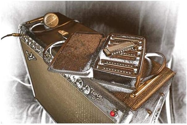 Pack of 7 Harmonica with Case Y880