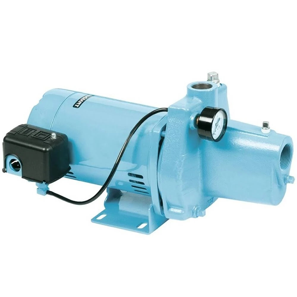 3/4 HP Cast Iron Shallow Well Jet Pump K742