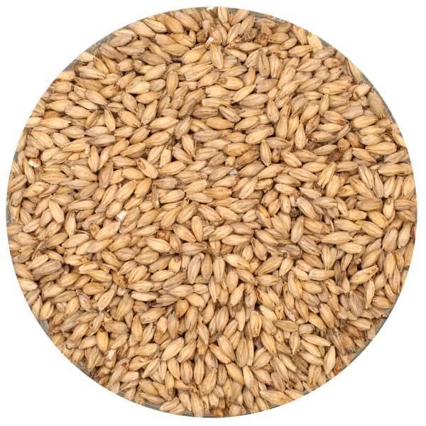 6-Row Malt - 55 lb. Sack - Unmilled Q441132