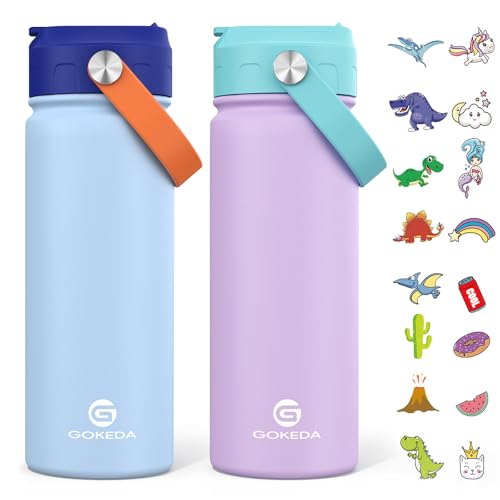 18oz Insulated Stainless Steel Kids Water Bottle with Stickers I3806