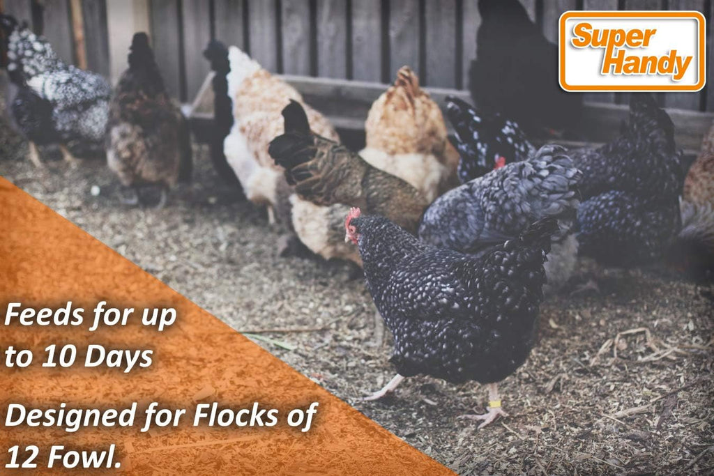 Chicken Feeder Automatic 20lbs Capacity Galvanized Steel V30503