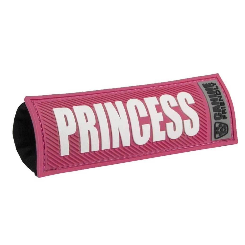 Dog Collar and Leash F402