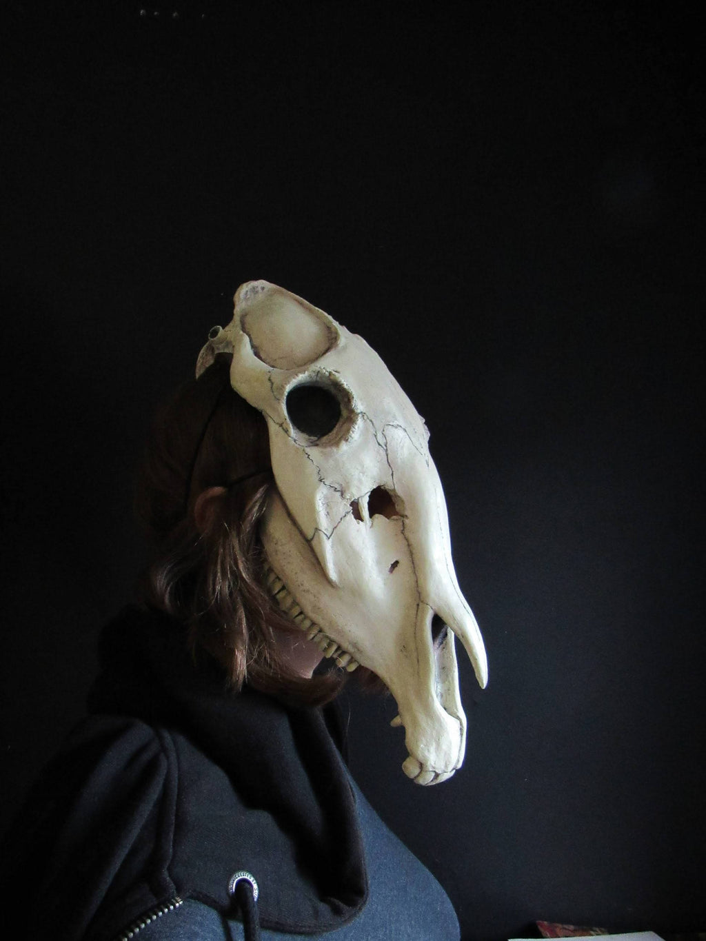 Horse Skull Mask Animal Cosplay Accessories G689