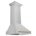30 Inch Range Hood with DuraSnow Shell and Champagne Bronze Handle W2501