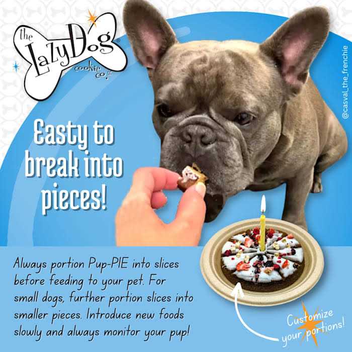 Dog Cookie H419116