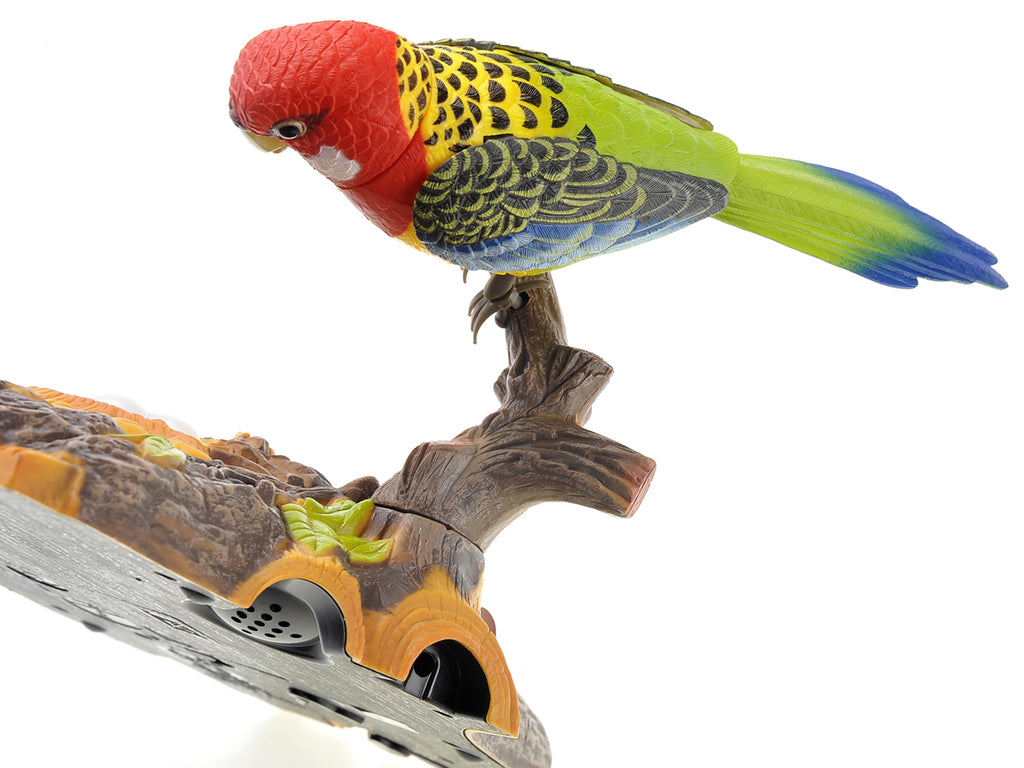 Wall Mount Dancing Bird Toy with Motion Sensor W722698