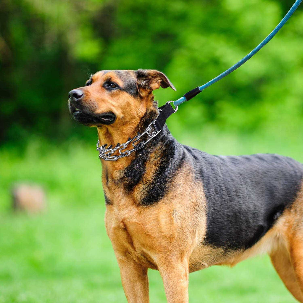 Dog Training Collar, No Pull Prong Collar for Large Dogs T977