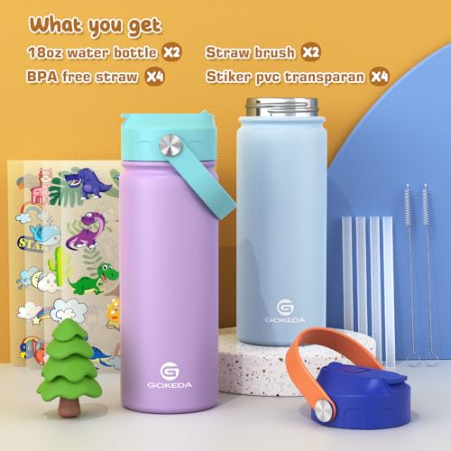 18oz Insulated Stainless Steel Kids Water Bottle with Stickers I3806