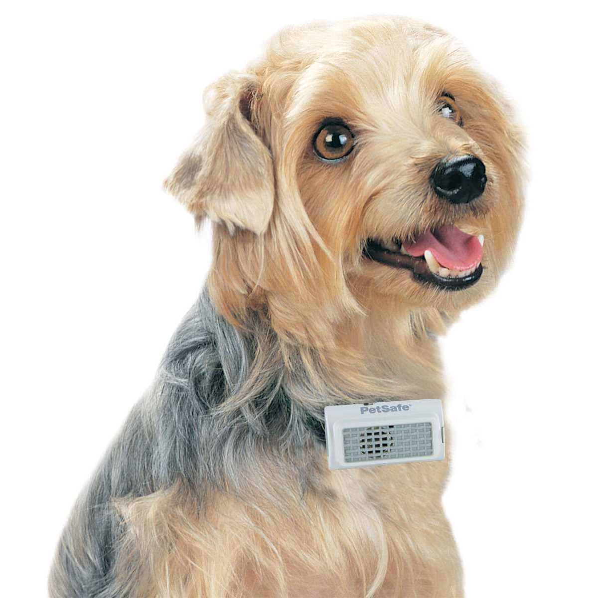Ultrasonic Bark Control Collar W6056