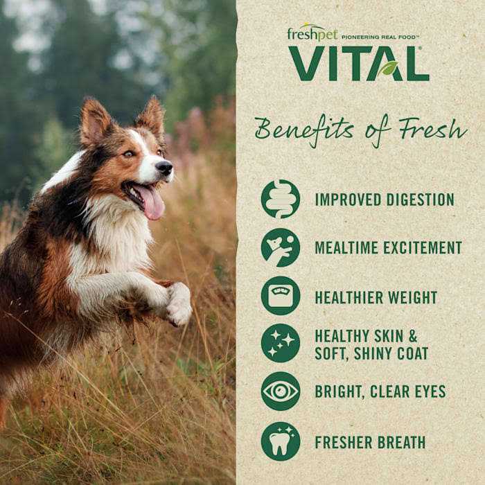 Grain-Free Beef & Bison Dog Food A175