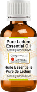 Ledum Essential Oil Steam Distilled 50ml N24802