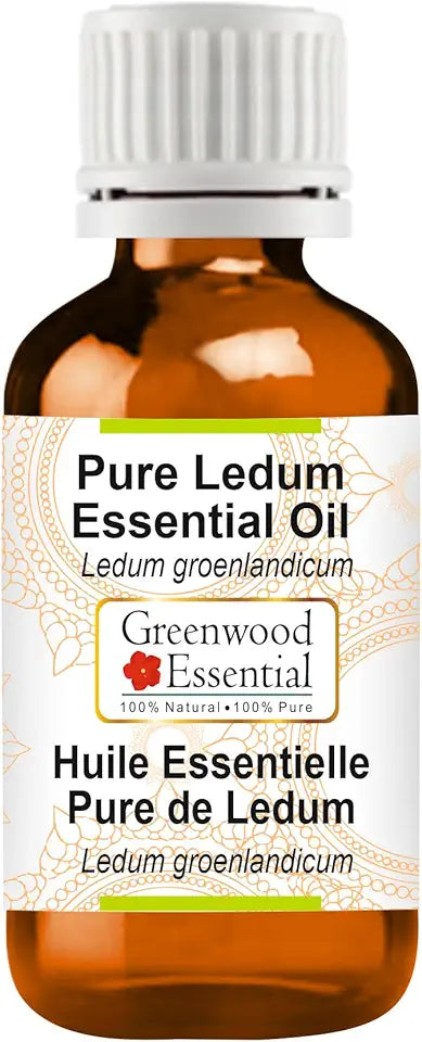 Ledum Essential Oil Steam Distilled 50ml N24802