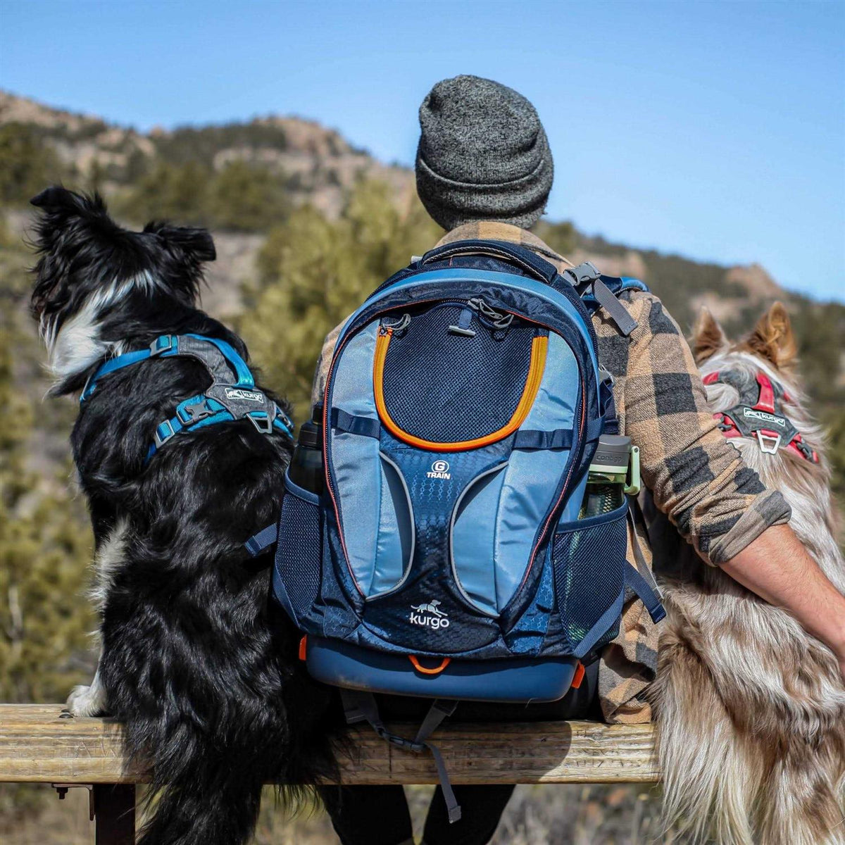 Dog Harness I288633