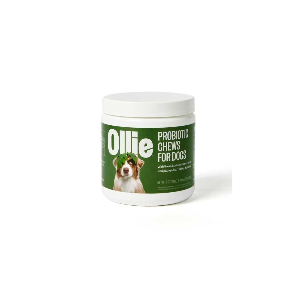 Probiotic Chews Dog Supplements D410601
