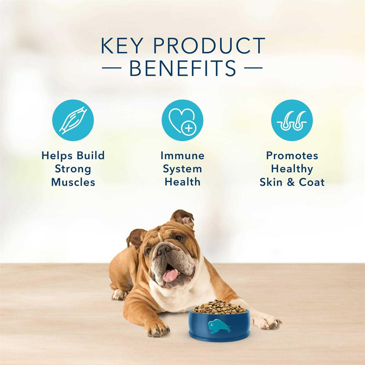 Salmon & Potato Adult Dry Dog Food A71095