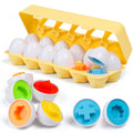 Matching Eggs with Yellow Eggs Holder Y420