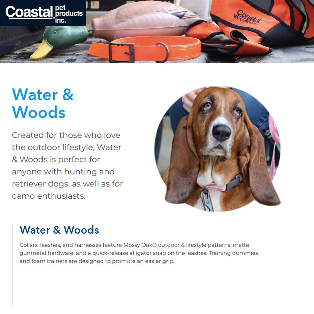 Adjustable Dog Collar Z7703