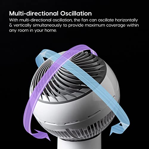 Large Oscillating 8-in-1 Fan with Remote and Timer Y767
