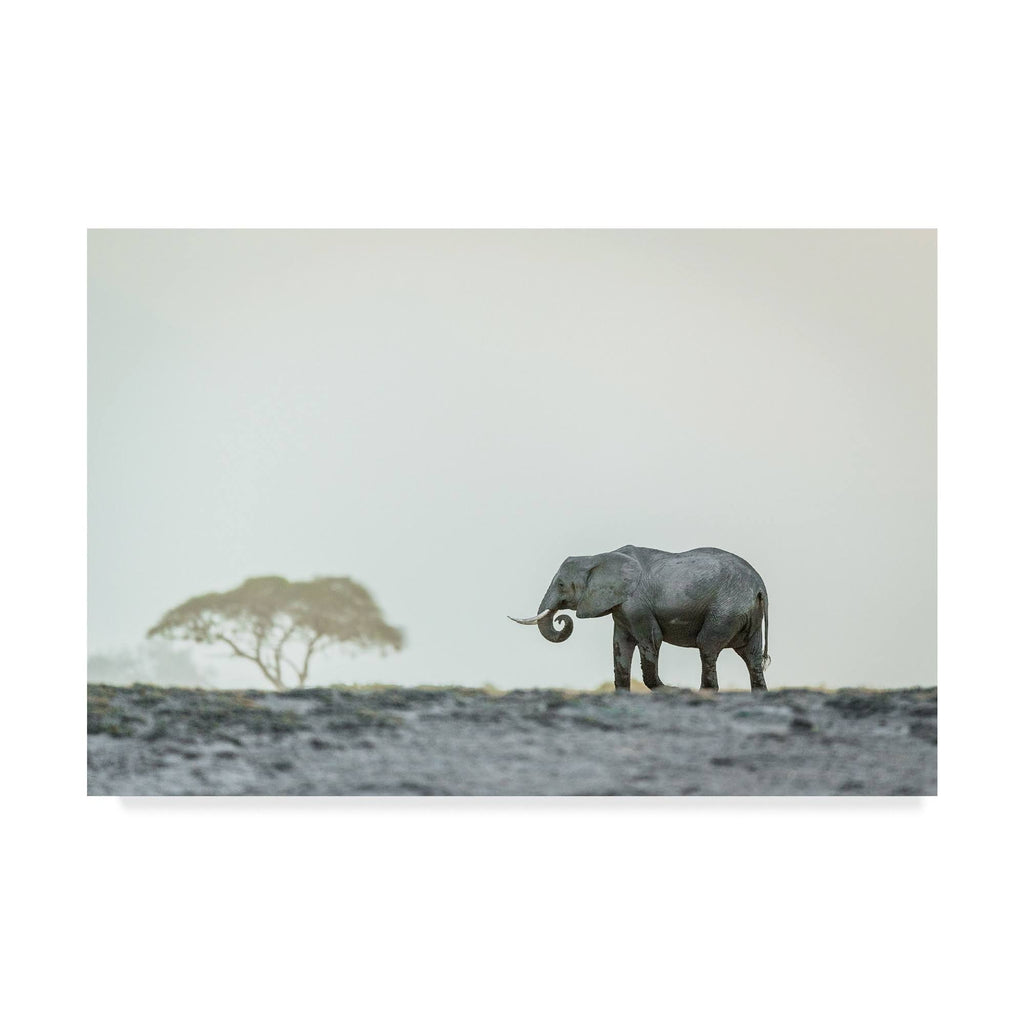 Canvas Art P2035
