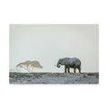 Canvas Art P2035