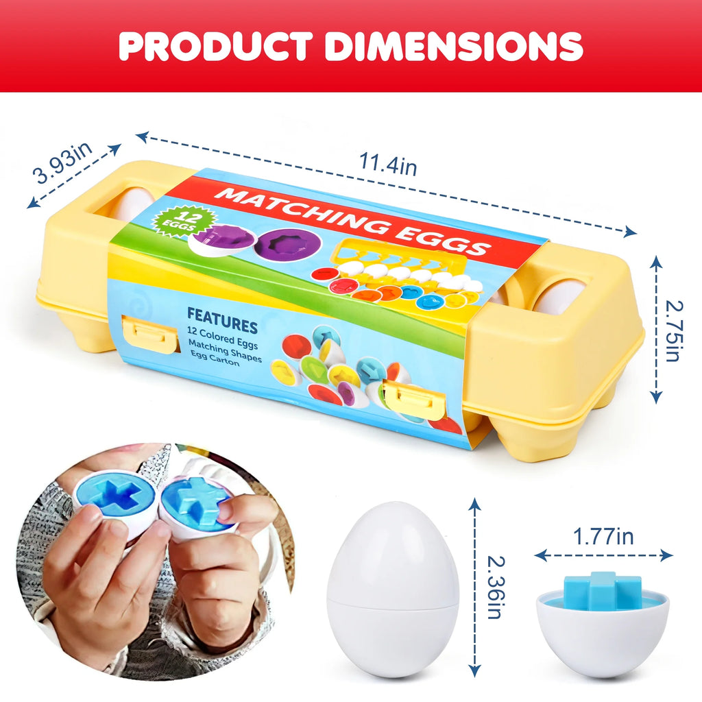 Matching Eggs with Yellow Eggs Holder Y420