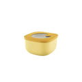 Ochre 450cc Airtight Containers S888
