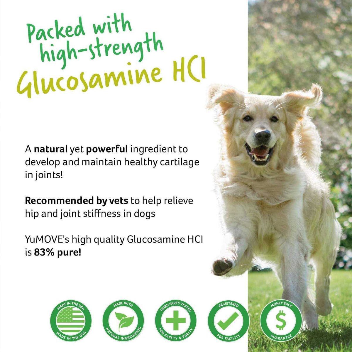 Soft Chew Dog Supplement G258