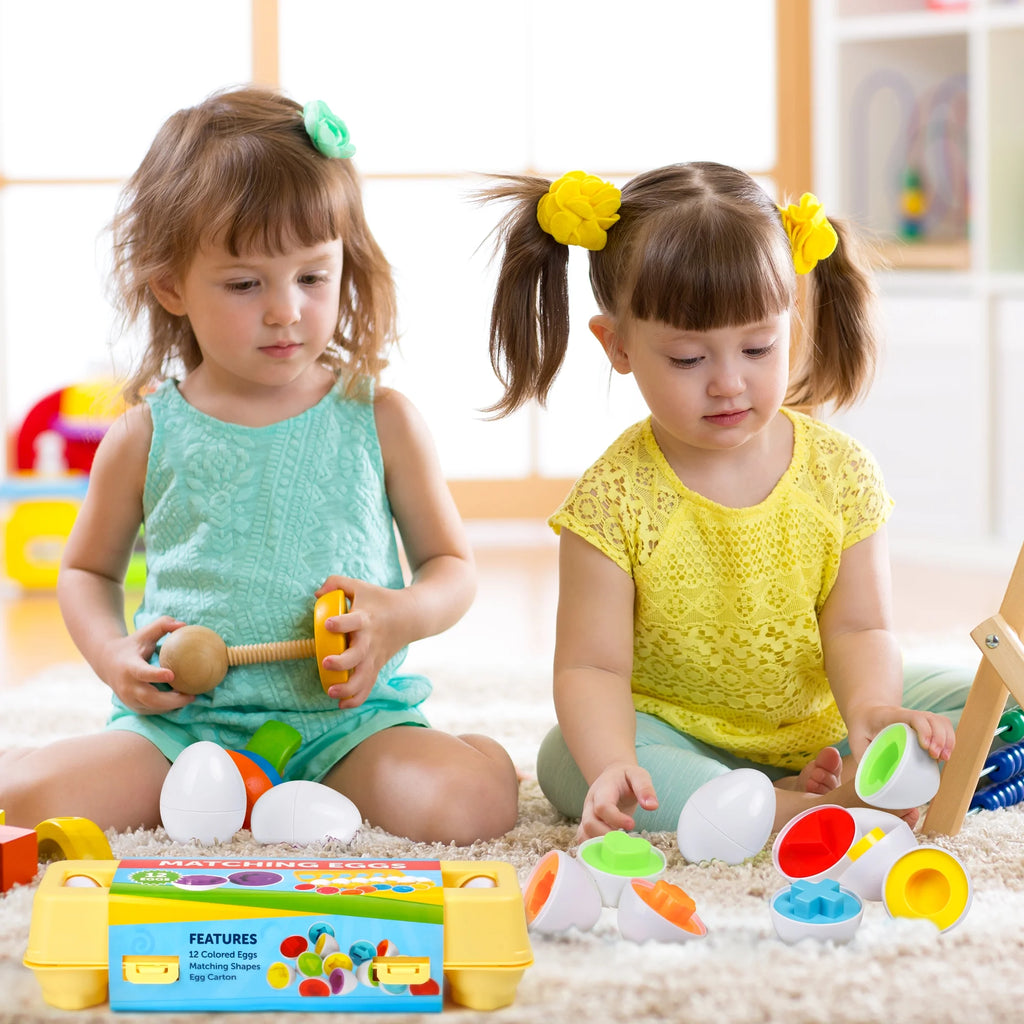 Matching Eggs with Yellow Eggs Holder Y420