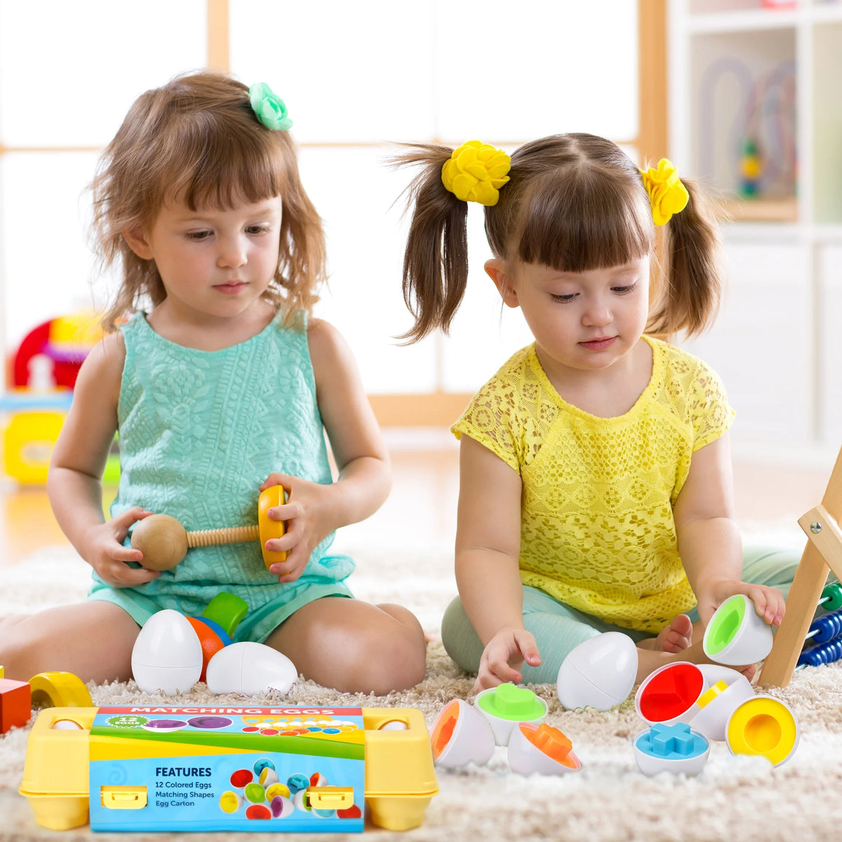 Matching Eggs with Yellow Eggs Holder Y420