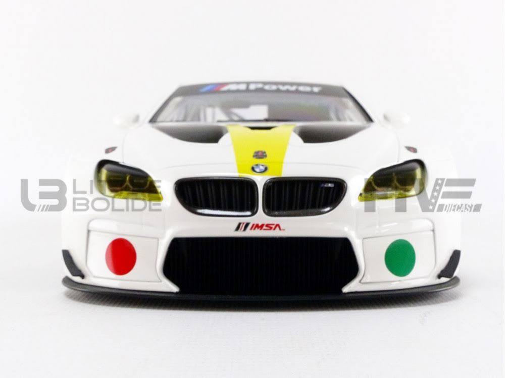 1/18 BMW M6 GTLM Art Car C212368