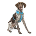 Dog Harness I288633