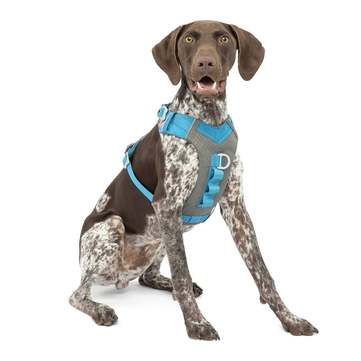 Dog Harness I288633